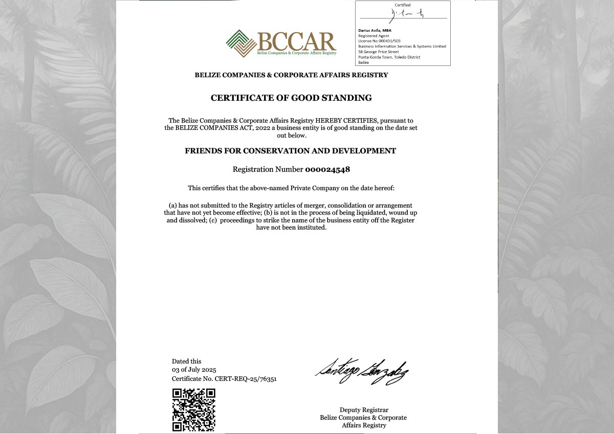 FCD – Certificate of Good Standing 2025