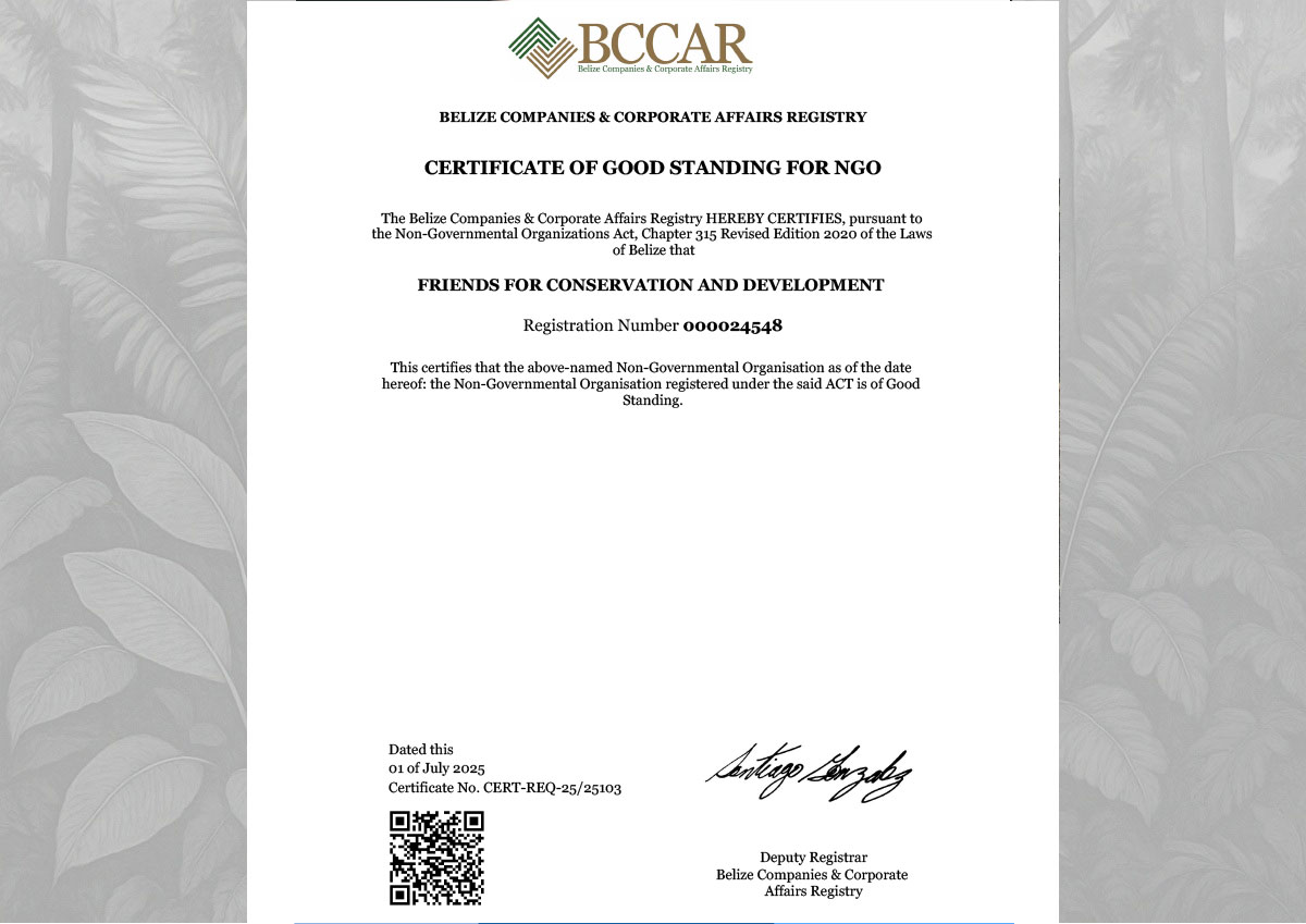 FCD – NGO Certificate of Good Standing 2025
