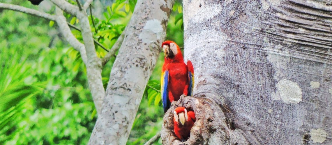 DSCN0996-01 DSCN0996-01