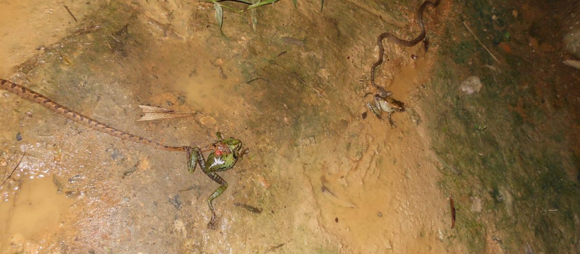 DSCN1224 copy DSCN1224 copy