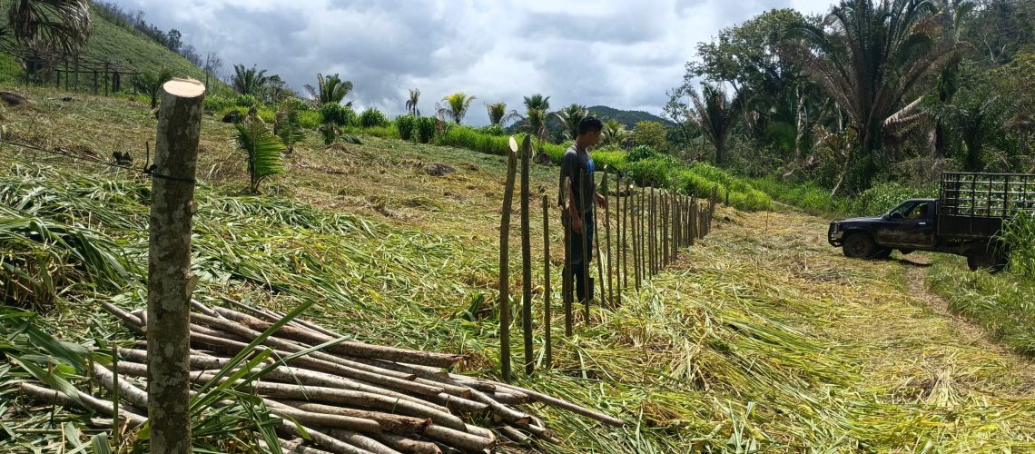 IMG_20230803_102220_191 IMG_20230803_102220_191