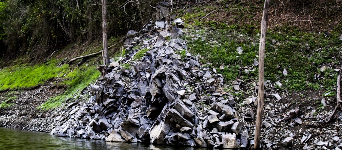 IMG_6222 RGC Copy copy